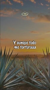 Vicente Fernández - Volver, Volver (Letra/Lyrics) #shorts