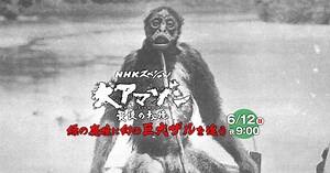 何だ、この不気味な生き物は…。秘境アマゾンに未知の世界を探すシリーズ第３弾は「伝説の巨大ザル」。１００年前撮影された謎の生物「モノス」は果たして実在するのか！？Nスペ１２（日）夜９時 | NHK