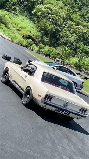 Encontrei o Mustang Hardtop customizado do Anderson da Fueltch! #ford #shorts #automobile