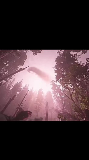 Exploring the Forest in Call of Duty: WW2