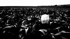 Balassa Photo on Reels