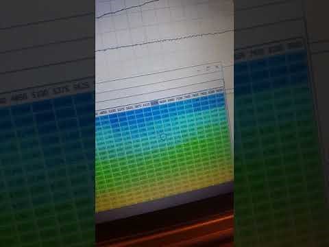 Fueltech closed loop correction with fuel overlay