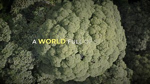 34 reactions | "Discover the soul of Asia through the lens of Walkabout Asia. Dive into captivating stories of culture, heritage, and people, inspiring learning through travel. Join us as we explore the wonders of Asia and unlock the secrets of its vibrant tapestry! #WalkaboutAsia #CulturalOdyssey #TravelInspiration #HeritageJourney #LearnThroughExperience" | Walkabout Asia | Facebook