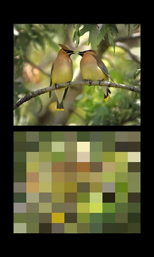 68K views · 516 reactions | Create Object Mosaic In Illustrator & Text Effect Design In Adobe Illustrator #fblifestyle #adobeillustrator #color #design #text #illustrator #tutorial #adobephotoshop #effects | Graphix Santo | Facebook