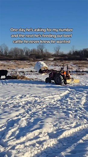 Hutton Girls Homestead on Instagram: "in 10° weather too 🫣😆 #homestead #selfsufficiency #beefcattle"