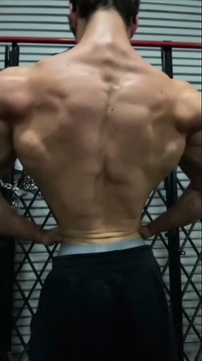 DAVID LAID - Back transformation