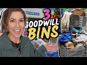 I Couldn't Stop Going Back to the Goodwill Bins 😳