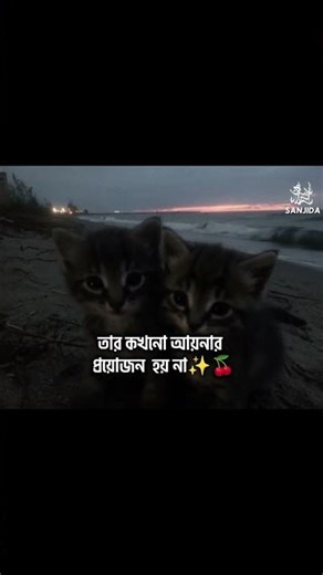 shovar Kase Amon bondu thake na 😔 #islamicvideo #islamicvideo #islamicvideo #islamicvideo #islamicvi