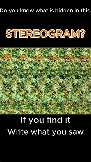 Can You See the Hidden 3D Image? 👀 Magic Eye Challenge