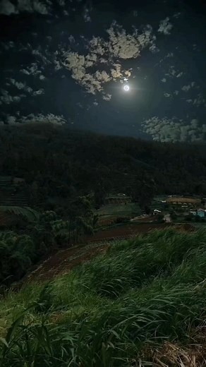 36K views · 860 reactions | Powerful words-quotes - motivational...