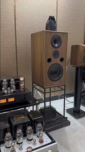 发烧音响 欧尼士CD15 丽磁LM508推思奔达！三强联手这声音绝绝子#发烧hifi #胆机 #发烧友