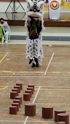 85K views · 1.1K reactions | #liondance obstacle course competition! | Liondoncefreak | Facebook