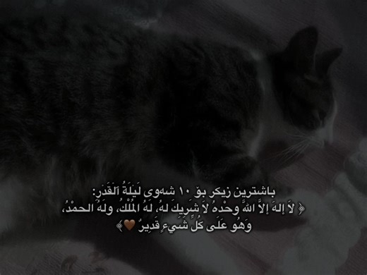 Understanding Laylat al-Qadr: The Night of Destiny