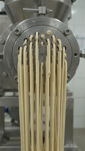 From Wheat to Noodles 🌾➡️🍜 | Amazing Factory Processing