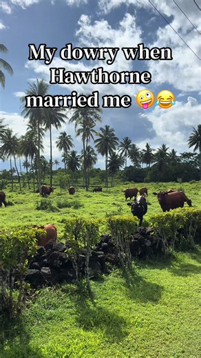 100 Cows for Mahana: A Polynesian Love Story
