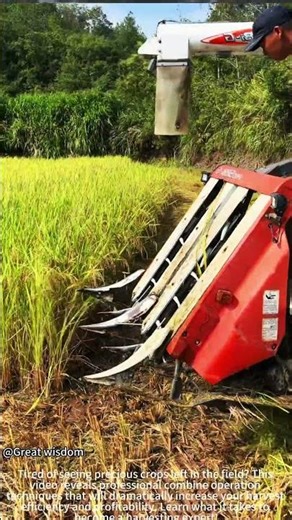 The LAZY Way to Maximize Harvest Efficiency