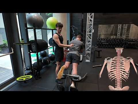 The ONE Exercise to FIX your Low Back Pain (Instantly)