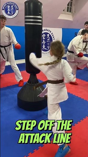 The Secret To Smarter Karate Attacks