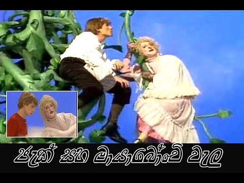 Jack and the Bean stalk | ජැක් සහ මායා බෝංචි වැල | surangana katha | Sinhala cartoon