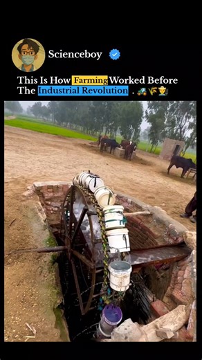 Deepak Kumar on Instagram: "This video showcases a Persian wheel (also known as a Rahat or Saqiya), a traditional water-lifting device that was a cornerstone of agriculture for centuries before the Industrial Revolution. The system is a marvel of pre-industrial engineering, using animal power and simple gear mechanics to irrigate fields. Here is how it works: 1. The Power Source (Animal Labor) In the video, a pair of oxen or bulls are harnessed to a horizontal wooden beam. As the animals walk in