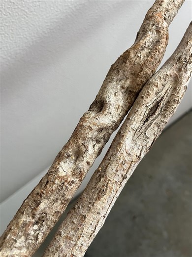 Diamond Willow (2~YOU Carve<> Trekking Sticks) Walking Stick, Woodworking, Twisted, Carving Blank, Staff, Cane, Hiking Pole - Etsy