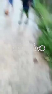 ➡️Parte Alta de Costa Azul #Acapulco En parte alta de Costa Azul subiendo por balcones ya se deslavó el cerro y la piedra tapó la salida y entrada. | Lo Real De Guerrero Mexico