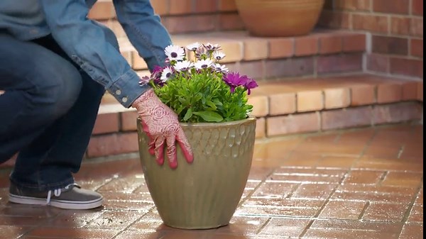 Miracle-Gro Expand 'n Gro Concentrated Planting Mix, Just Add Water for up to 3X Expansion, For Container and In-Ground Use, .33 cu. ft. Expands up to 1 cu. ft.