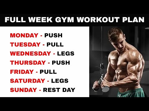 Gym Workout Plan 6 Days a Week - Push/Pull/Leg