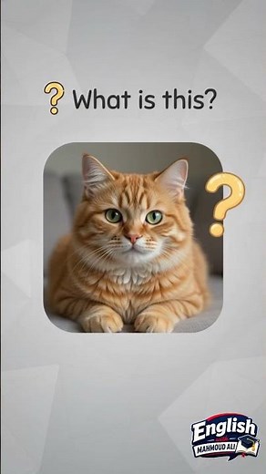 Learn Cat Names in English | Cat Vocabulary for Beginners 🐱