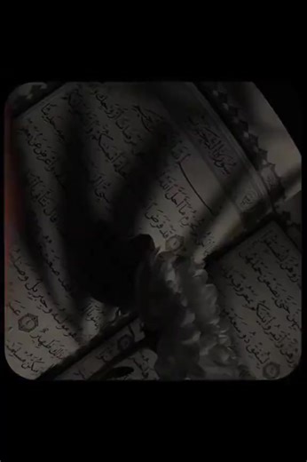 Quee 👸👑 (@quee3792)’s videos with original sound - Quee 👸👑