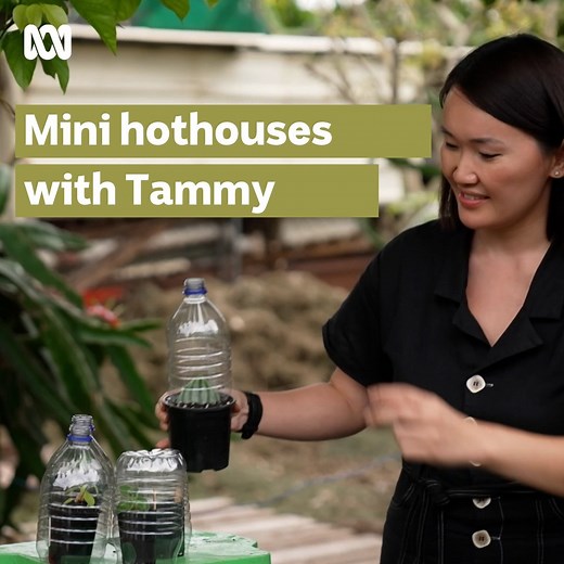 71K views · 1.9K reactions |  What’s cute, resourceful and hot? ...