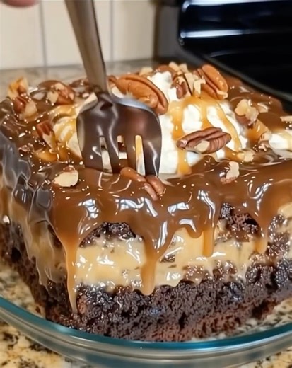 37K views · 127 reactions | TURTLE CAKE - A Recipe You Can’t Miss 朗 Ingredients: 1 cup chocolate chips 2 cups pecans 1/2 cup evaporated milk 1 (14 ounce) bags caramels…  Recipe in top (c.o.m.m.e.n.t ).  | Easy Daily Recipes | Facebook