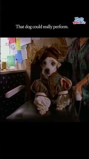 That Dog Could Perform | The Real Wishbone