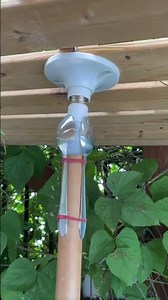 easy and fast way to install LED lights using simple tools #construction #popular #viralshorts