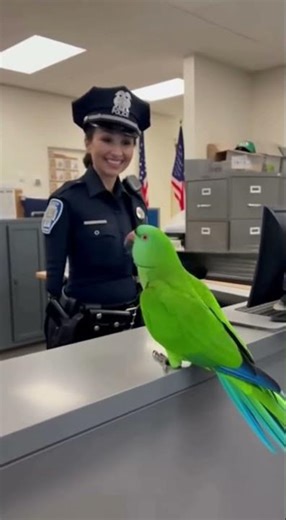 Cop vs Parrot: Who’s Really in Charge