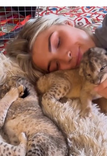Woman Adopts Lion Cubs After Their Mother's Death