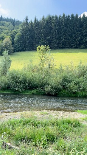 95K views · 3.8K reactions | Departe de lume dar aproape de liniște | Satul natal | Facebook