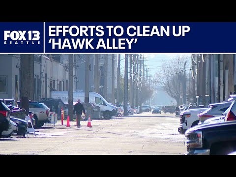 Seattle's "Hawk Alley" cleared of encampments ahead of playoffs | FOX 13 Seattle