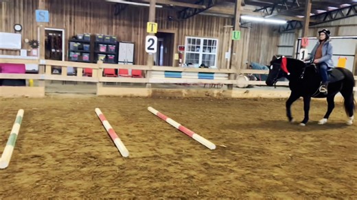 We may not have riders heading to the Olympics…but at Ridin’ High, we celebrate Olympic-sized victories every single day. 🐴✨ For some of our riders, going over ground poles for the very first time feels just as big as clearing a stadium jump. That deep breath before asking their horse to step forward. The courage to try something new. The smile that follows when they realize, “I did it!” Every small next step-balancing a little longer, steering more independently, walking confidently over poles