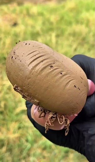 The Most Satisfying Video You’ll Watch Today