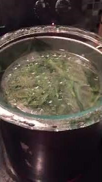 3/6 How To Make Poison: Oleander(Step 2)