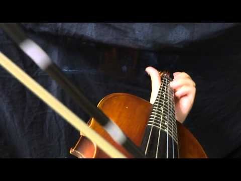 フレットバイオリンの演奏例～グリッサンド，スライド Demonstration of a fretted violin; glissando and slide.