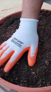 This is brilliant! 😳 #shorts #diy #howto