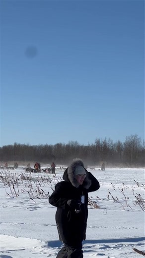 Dog sled races at Northern Manitoba Trappers Fest in The Pas | Wab Kinew