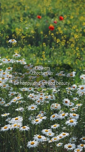 A Simple Lesson Life Teaches Us ✨