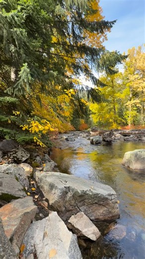 Dropped this big commission off at it’s new home yesterday 🥹 That’ll be the last commission I take for a little while so that I can make space for all of the funky ideas I’ve had brewing in my head. So ready to hunker down and do some painting this winter! | Ali Hancock Studio