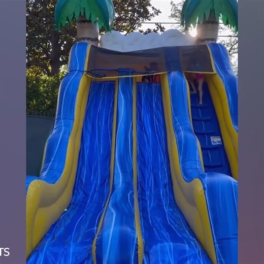 137K views · 5.2K reactions | Funniest Dogs Playing with Water Compilation | Pets Lab | Facebook