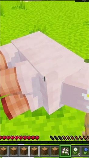 【本当の初心者の方向け】ずなぶるマイクラ教室～最初の夜編～ #マイクラ #minecraft #マイクラ実況 #初心者必見