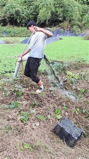 technique for moving water from a pool using a PVC pipe that is pulled #pulled #pvcpipe #waterpool