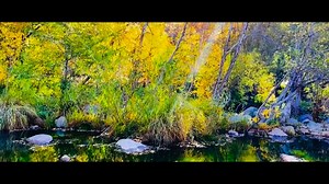 Sedona Grasshopper Point Creek View’s 11/9/25. | Heber Lopez
